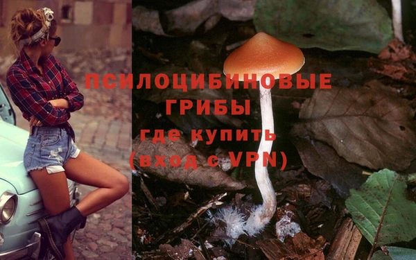 наркотики Няндома