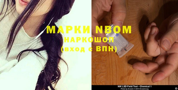 гидропоника Новозыбков