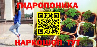 PSILOCYBIN Балахна