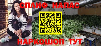 PSILOCYBIN Балахна