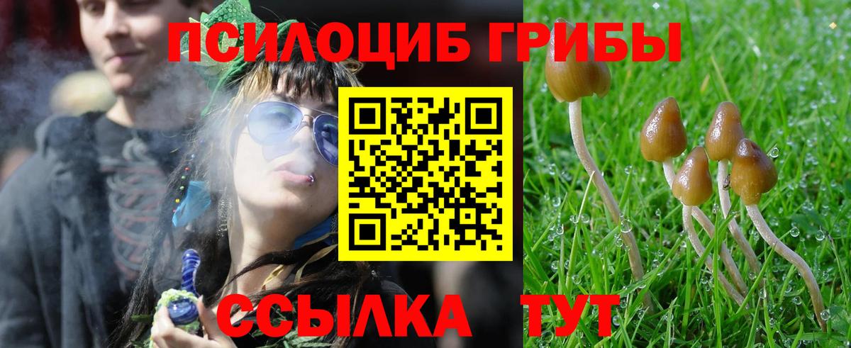 Псилоцибиновые грибы MAGIC MUSHROOMS Серов