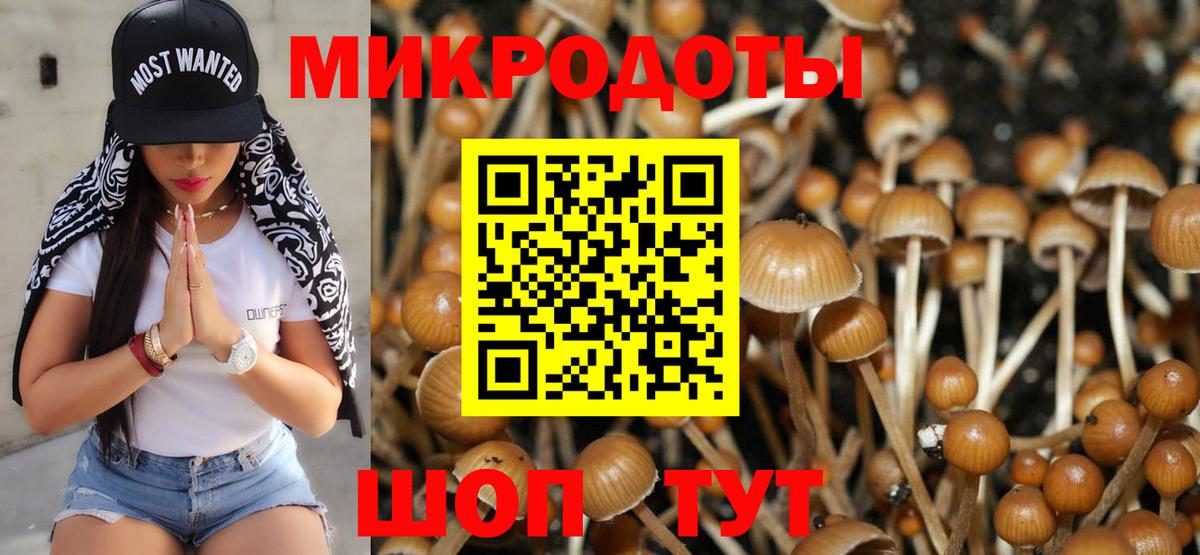 Серов  Псилоцибиновые грибы Magic Shrooms  наркотики  Вход с VPN 