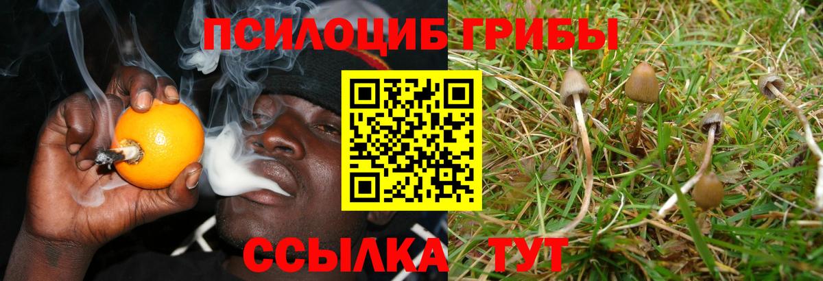 ГАШ  МДМА  Серов  ЭКСТАЗИ  Меф   Меф МЯУ МЯУ кристаллы  ГАШИШ  Марихуана 