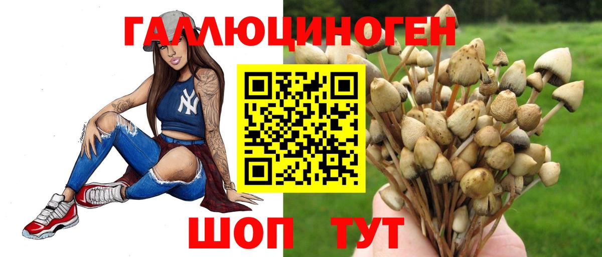 Галлюциногенные грибы Psilocybe  цены наркотик  Серов 